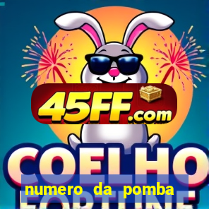 numero da pomba jogo do bicho